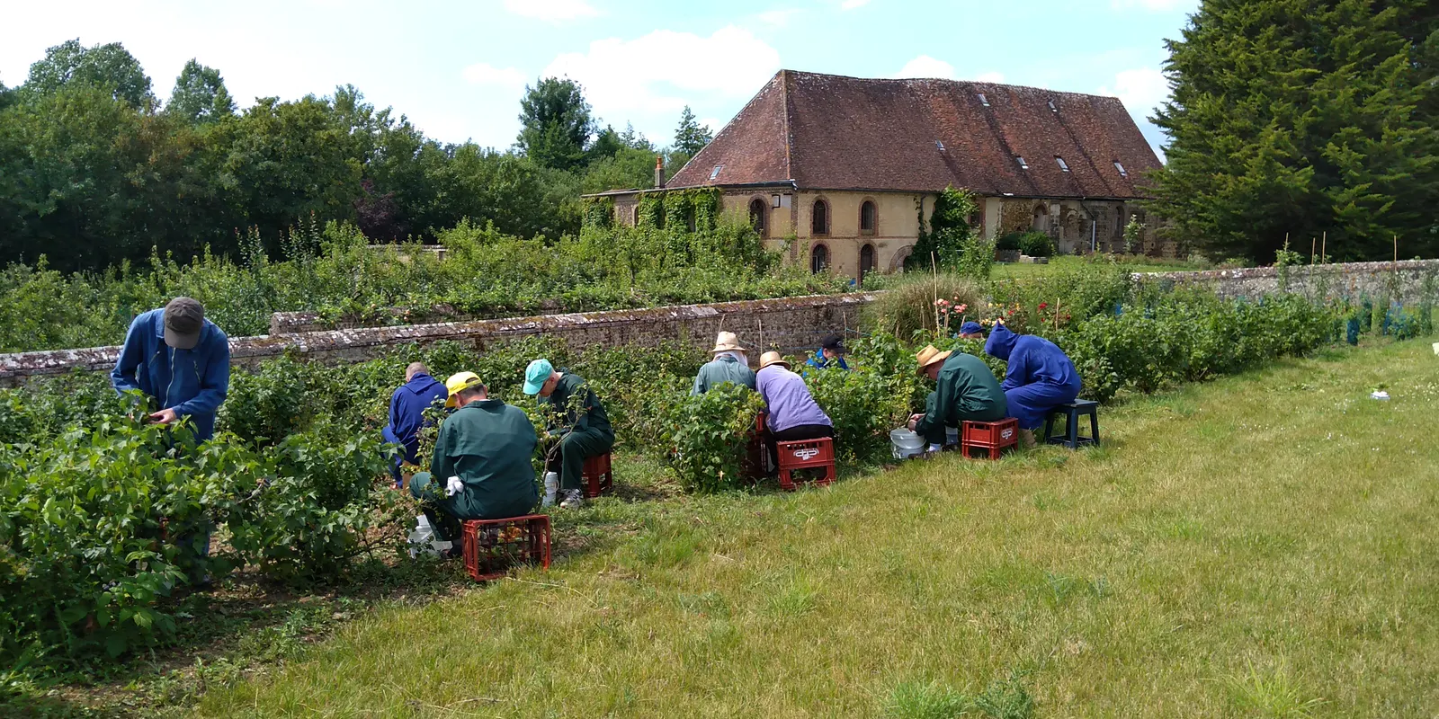 Des personnes cueillent au jardin, devant les bâtiments de l’abbaye