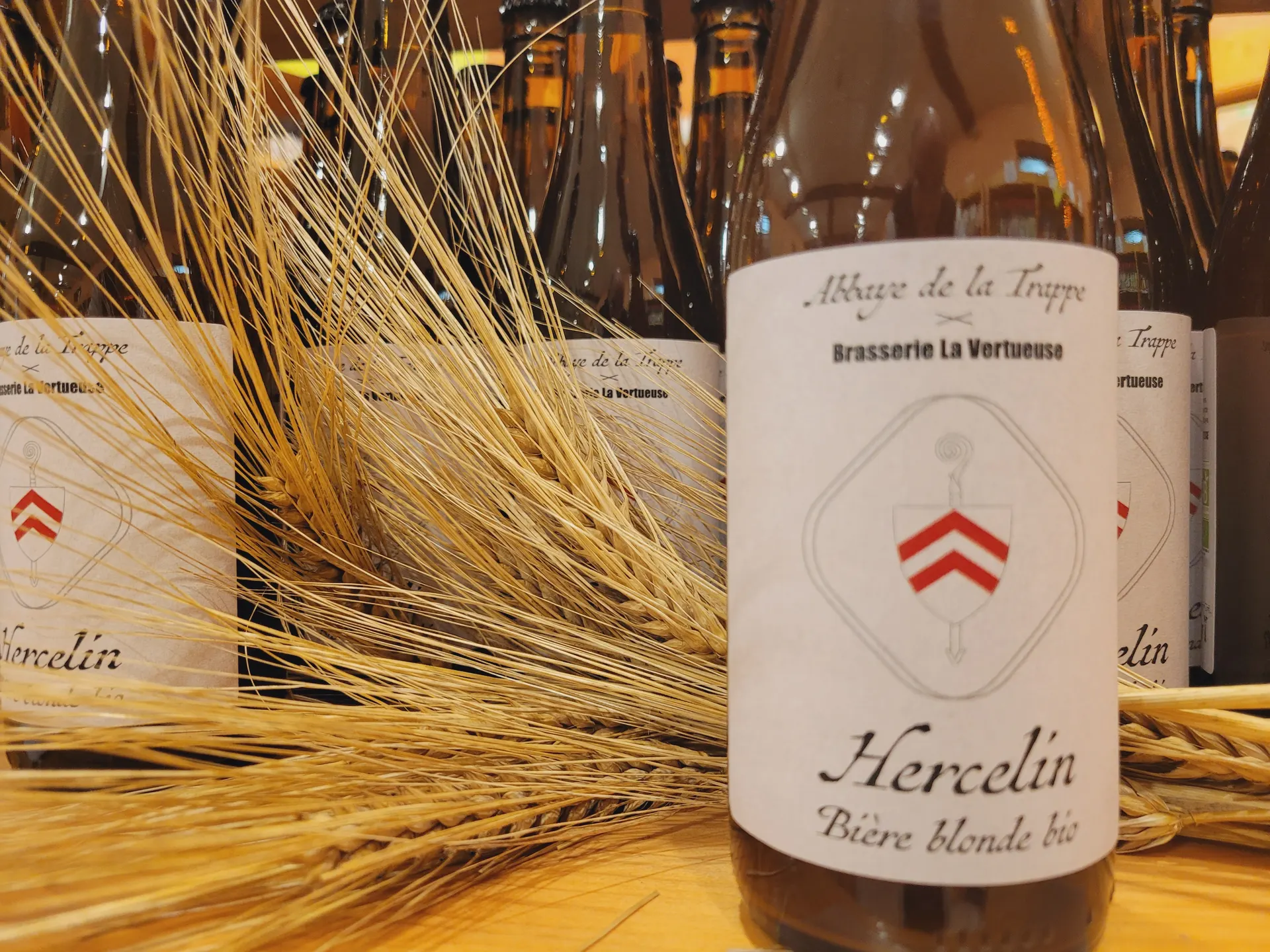 Une bouteille de bière Hercelin devant des épis de blé